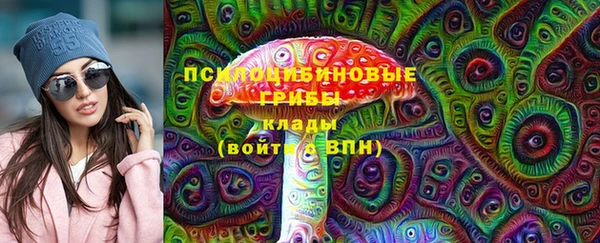спайс Арсеньев
