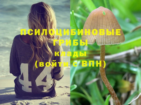 первитин Армянск