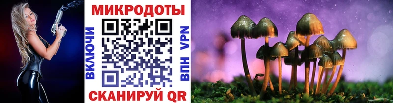 купить закладку  Ряжск  Галлюциногенные грибы прущие грибы 